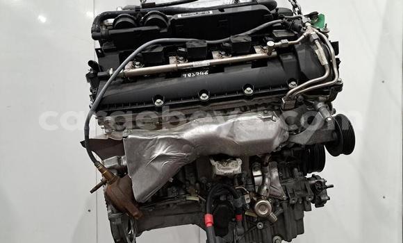 ይግዙ JAGUAR F TYPE 5.0 V8 በ አዲስ አበባ በ ኢትዮጵያ ይግዙ JAGUAR F TYPE 5.0 V8 በ አዲስ አበባ በ ኢትዮጵያ