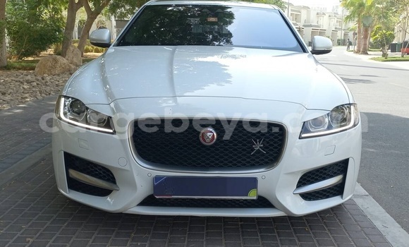 ይግዙ ያገለገለ Jaguar XF ነጭ መኪና በ አዲስ አበባ በ ኢትዮጵያ ይግዙ ያገለገለ Jaguar XF ነጭ መኪና በ አዲስ አበባ በ ኢትዮጵያ