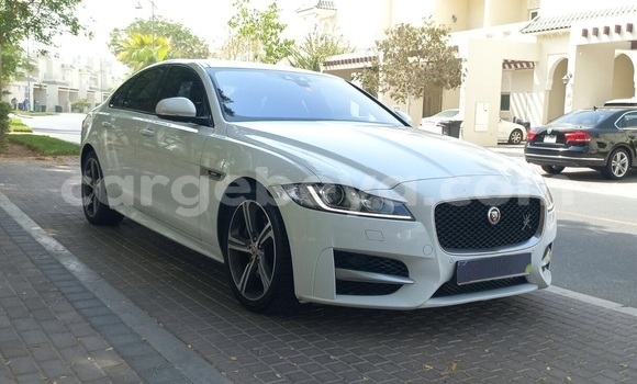 ይግዙ ያገለገለ Jaguar XF ነጭ መኪና በ አዲስ አበባ በ ኢትዮጵያ ይግዙ ያገለገለ Jaguar XF ነጭ መኪና በ አዲስ አበባ በ ኢትዮጵያ
