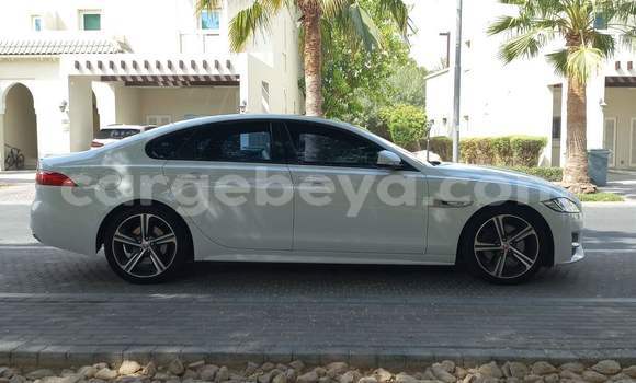 ይግዙ ያገለገለ Jaguar XF ነጭ መኪና በ አዲስ አበባ በ ኢትዮጵያ ይግዙ ያገለገለ Jaguar XF ነጭ መኪና በ አዲስ አበባ በ ኢትዮጵያ