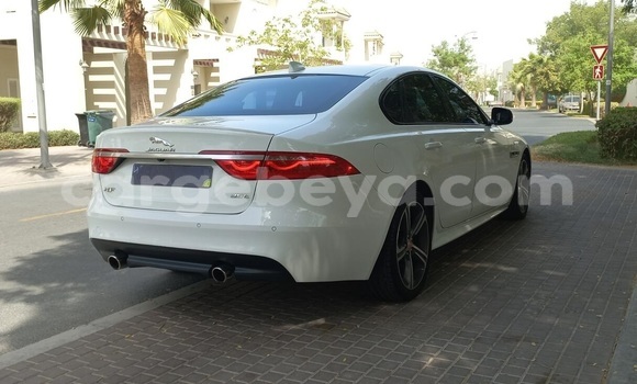 ይግዙ ያገለገለ Jaguar XF ነጭ መኪና በ አዲስ አበባ በ ኢትዮጵያ ይግዙ ያገለገለ Jaguar XF ነጭ መኪና በ አዲስ አበባ በ ኢትዮጵያ