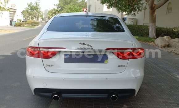 ይግዙ ያገለገለ Jaguar XF ነጭ መኪና በ አዲስ አበባ በ ኢትዮጵያ ይግዙ ያገለገለ Jaguar XF ነጭ መኪና በ አዲስ አበባ በ ኢትዮጵያ