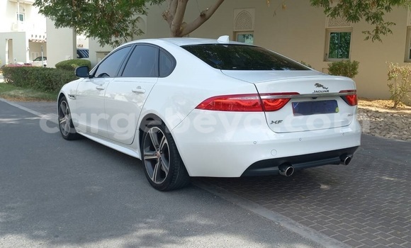 ይግዙ ያገለገለ Jaguar XF ነጭ መኪና በ አዲስ አበባ በ ኢትዮጵያ ይግዙ ያገለገለ Jaguar XF ነጭ መኪና በ አዲስ አበባ በ ኢትዮጵያ