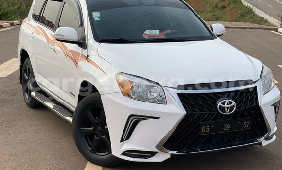 Buy Used Toyota RAV4 White Car in Addis–Ababa in Ethiopia