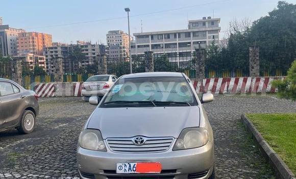 ይግዙ ያገለገለ Toyota Corolla ሌላ መኪና በ አዲስ አበባ በ ኢትዮጵያ ይግዙ ያገለገለ Toyota Corolla ሌላ መኪና በ አዲስ አበባ በ ኢትዮጵያ