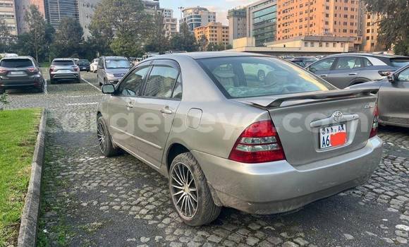 Acheter Occasion Voiture Toyota Corolla Autre à Addis Ababa, Ethiopie Acheter Occasion Voiture Toyota Corolla Autre à Addis Ababa, Ethiopie