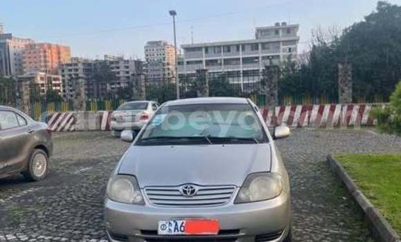 Acheter Occasion Voiture Toyota Corolla Autre à Addis Ababa, Ethiopie Acheter Occasion Voiture Toyota Corolla Autre à Addis Ababa, Ethiopie