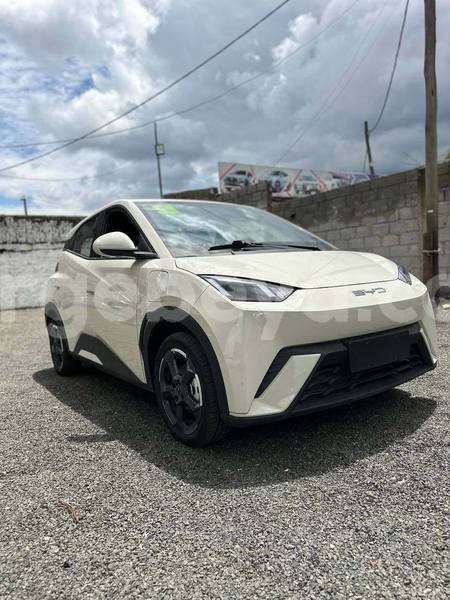 Big with watermark byd s6 ethiopia addis ababa 12312