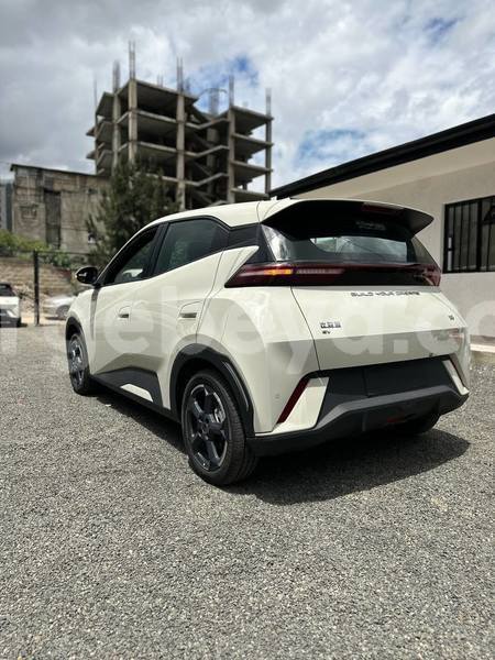 Big with watermark byd s6 ethiopia addis ababa 12312