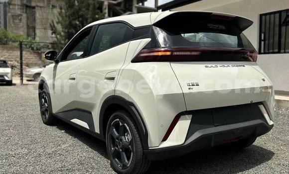 Acheter Occasion Voiture BYD S6 Blanc à Addis Ababa, Ethiopie Acheter Occasion Voiture BYD S6 Blanc à Addis Ababa, Ethiopie