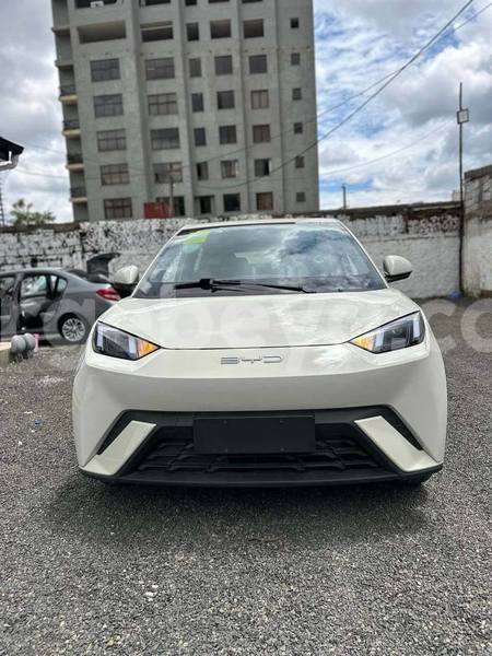 Big with watermark byd s6 ethiopia addis ababa 12312