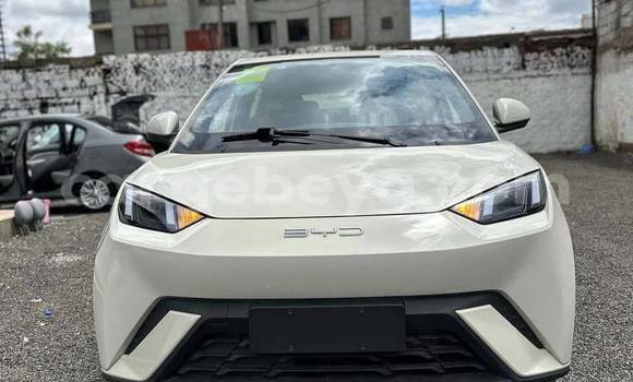 Acheter Occasion Voiture BYD S6 Blanc à Addis Ababa, Ethiopie Acheter Occasion Voiture BYD S6 Blanc à Addis Ababa, Ethiopie