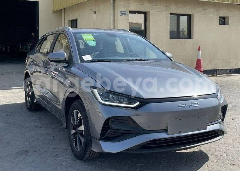 Big with watermark byd e6 ethiopia addis ababa 12314