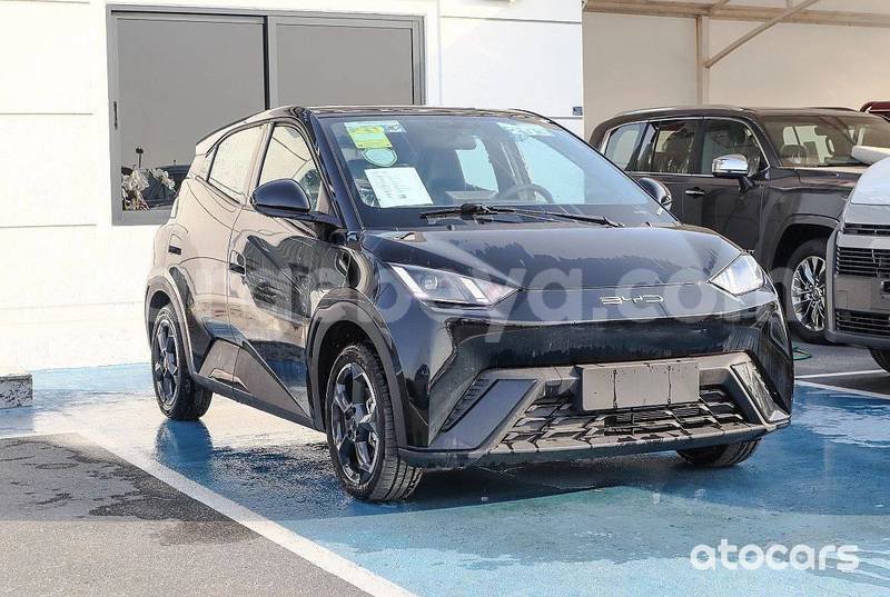 Big with watermark byd f3 ethiopia addis ababa 12318