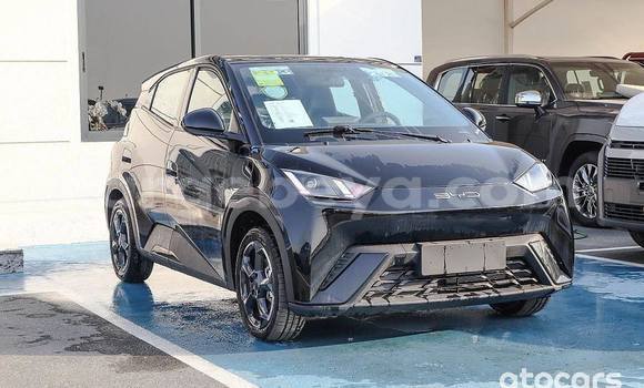 Acheter Occasion Voiture BYD F3 Noir à Addis Ababa, Ethiopie Acheter Occasion Voiture BYD F3 Noir à Addis Ababa, Ethiopie