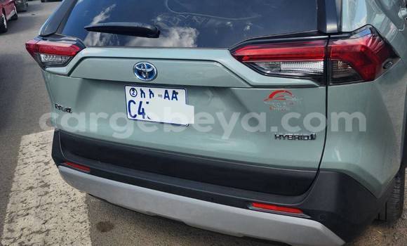 Buy Used Toyota RAV4 Other Car in Addis–Ababa in Ethiopia Buy Used Toyota RAV4 Other Car in Addis–Ababa in Ethiopia