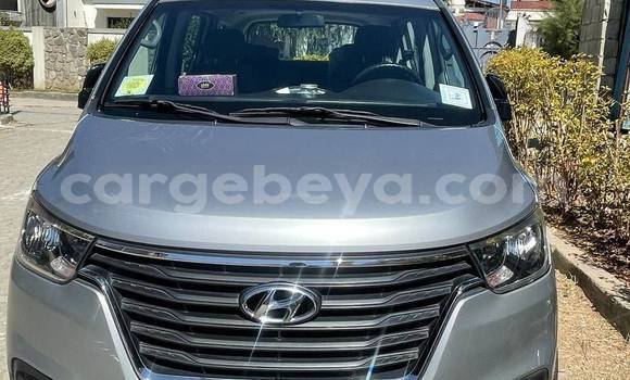 Buy Used Hyundai H1 Other Car in Addis–Ababa in Ethiopia