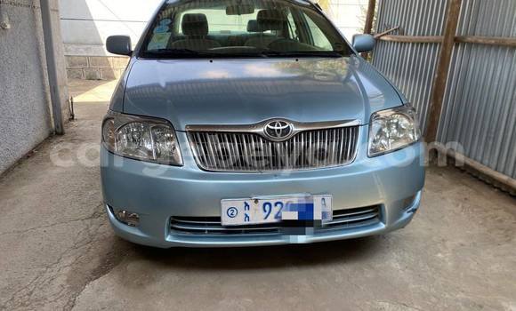 ይግዙ ያገለገለ Toyota Corolla ሌላ መኪና በ አዲስ አበባ በ ኢትዮጵያ