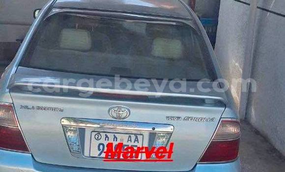 Acheter Occasion Voiture Toyota Corolla Autre à Addis Ababa, Ethiopie Acheter Occasion Voiture Toyota Corolla Autre à Addis Ababa, Ethiopie