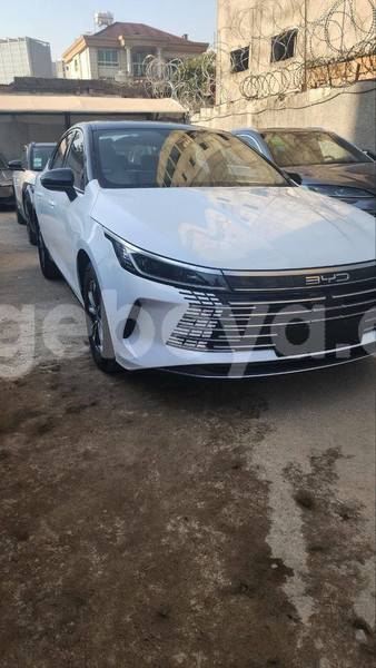 Big with watermark byd flyer ethiopia addis ababa 12330