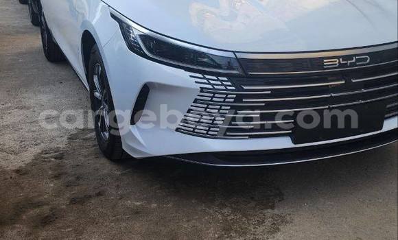 Acheter Occasion Voiture BYD Flyer Blanc à Addis Ababa, Ethiopie Acheter Occasion Voiture BYD Flyer Blanc à Addis Ababa, Ethiopie