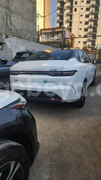 Big with watermark byd flyer ethiopia addis ababa 12330