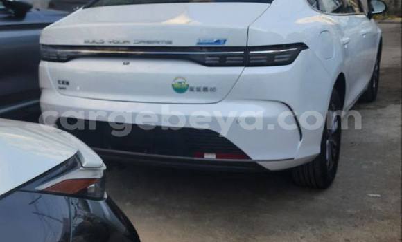 Acheter Occasion Voiture BYD Flyer Blanc à Addis Ababa, Ethiopie Acheter Occasion Voiture BYD Flyer Blanc à Addis Ababa, Ethiopie