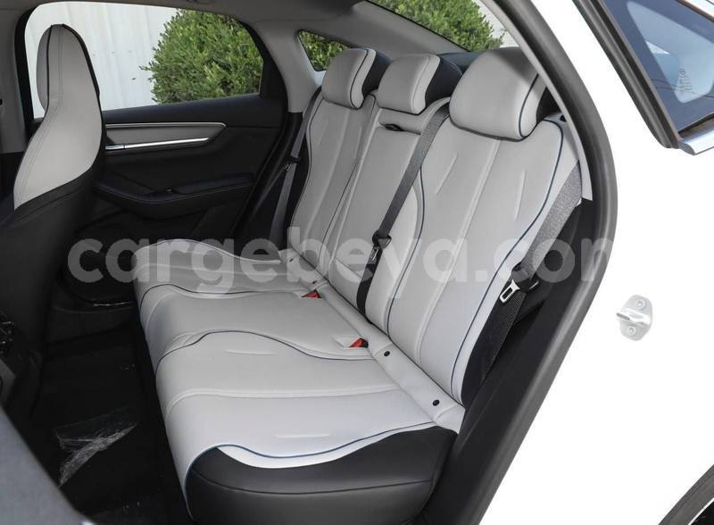 Big with watermark byd flyer ethiopia addis ababa 12330