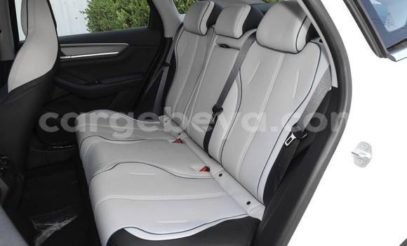 Acheter Occasion Voiture BYD Flyer Blanc à Addis Ababa, Ethiopie Acheter Occasion Voiture BYD Flyer Blanc à Addis Ababa, Ethiopie