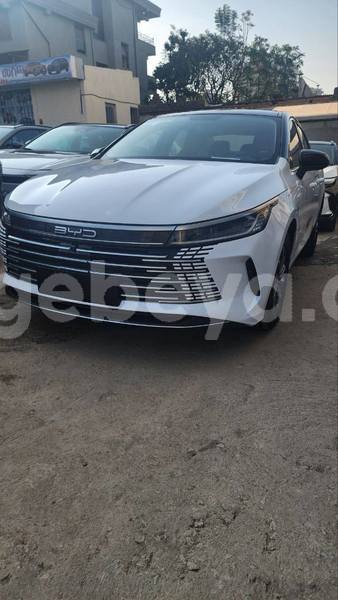 Big with watermark byd flyer ethiopia addis ababa 12330