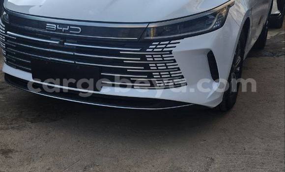 Acheter Occasion Voiture BYD Flyer Blanc à Addis Ababa, Ethiopie Acheter Occasion Voiture BYD Flyer Blanc à Addis Ababa, Ethiopie