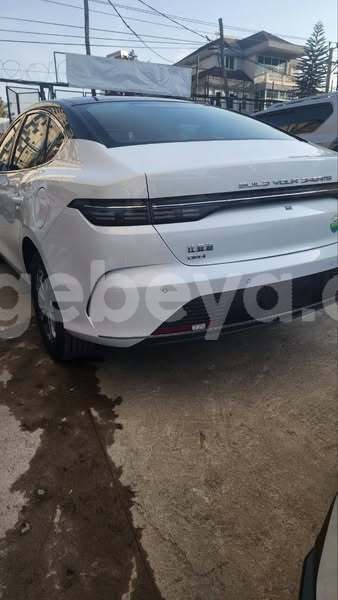 Big with watermark byd flyer ethiopia addis ababa 12330