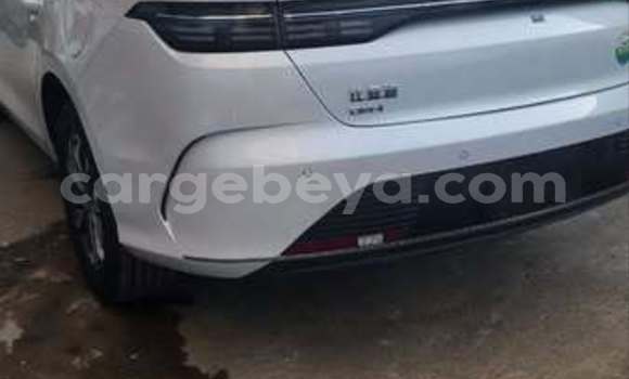 Acheter Occasion Voiture BYD Flyer Blanc à Addis Ababa, Ethiopie Acheter Occasion Voiture BYD Flyer Blanc à Addis Ababa, Ethiopie