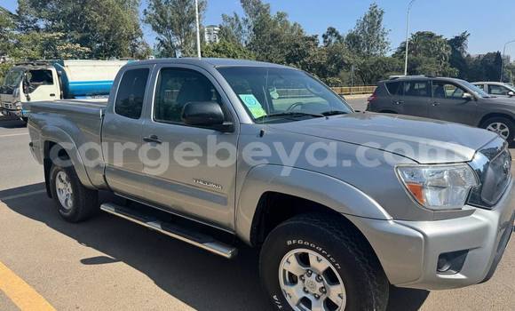 Buy Used Toyota Tacoma Other Car in Addis–Ababa in Ethiopia