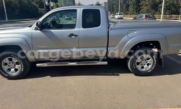 Acheter Occasion Voiture Toyota Tacoma Autre à Addis Ababa, Ethiopie Acheter Occasion Voiture Toyota Tacoma Autre à Addis Ababa, Ethiopie