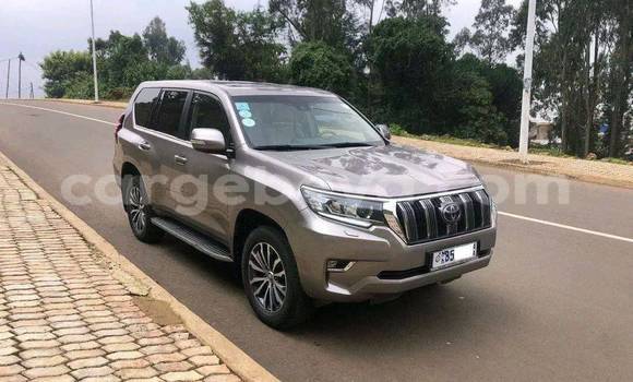 Buy Used Toyota Highlander Other Car in Addis–Ababa in Ethiopia Buy Used Toyota Highlander Other Car in Addis–Ababa in Ethiopia