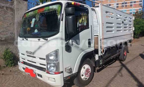 Buy Used Isuzu FTR 850 White Truck in Addis–Ababa in Ethiopia Buy Used Isuzu FTR 850 White Truck in Addis–Ababa in Ethiopia