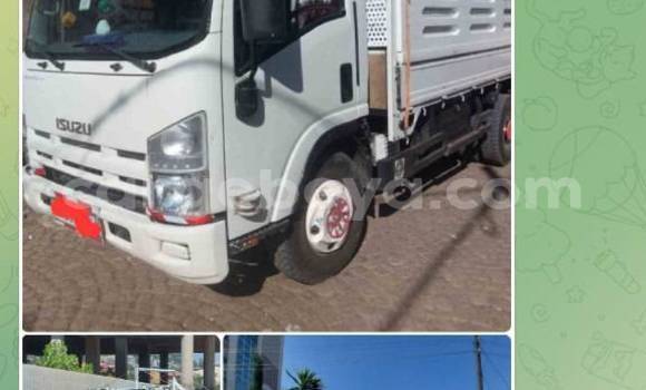 Buy Used Isuzu FTR 850 White Truck in Addis–Ababa in Ethiopia Buy Used Isuzu FTR 850 White Truck in Addis–Ababa in Ethiopia