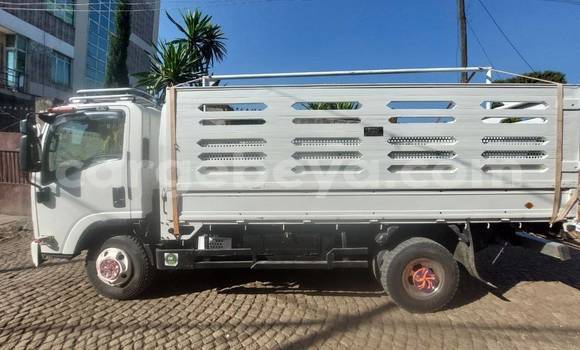 Buy Used Isuzu FTR 850 White Truck in Addis–Ababa in Ethiopia Buy Used Isuzu FTR 850 White Truck in Addis–Ababa in Ethiopia