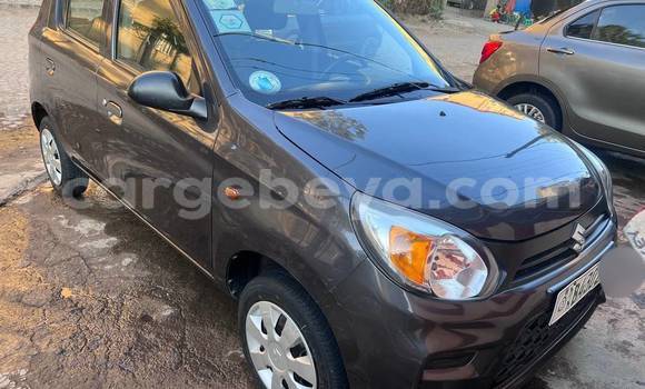 Buy Used Suzuki Alto Other Car in Addis–Ababa in Ethiopia Buy Used Suzuki Alto Other Car in Addis–Ababa in Ethiopia