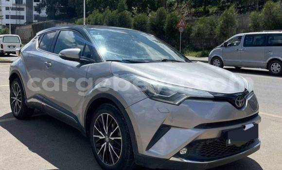 Buy Used Toyota C-HR Other Car in Addis–Ababa in Ethiopia Buy Used Toyota C-HR Other Car in Addis–Ababa in Ethiopia
