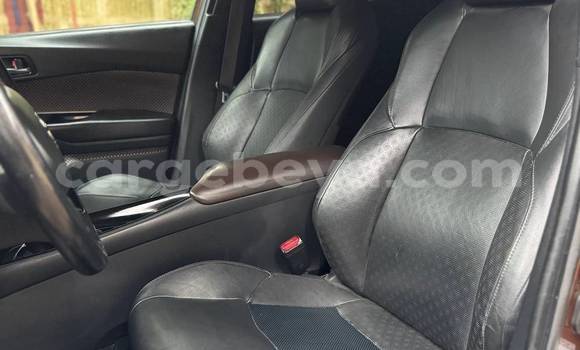 Buy Used Toyota C-HR Other Car in Addis–Ababa in Ethiopia Buy Used Toyota C-HR Other Car in Addis–Ababa in Ethiopia