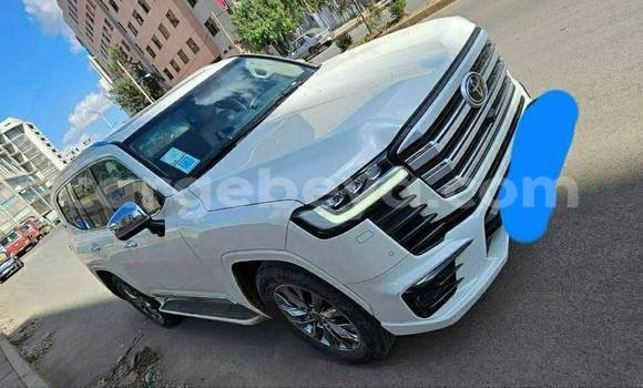Buy Used Toyota Land Cruiser White Car in Addis–Ababa in Ethiopia Buy Used Toyota Land Cruiser White Car in Addis–Ababa in Ethiopia
