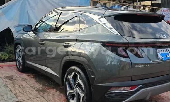 Buy Used Hyundai Tucson Other Car in Addis–Ababa in Ethiopia Buy Used Hyundai Tucson Other Car in Addis–Ababa in Ethiopia