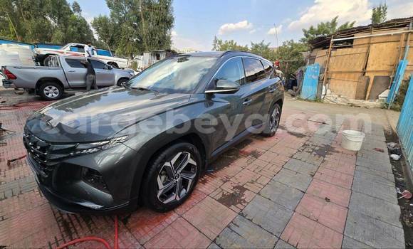 Buy Used Hyundai Tucson Other Car in Addis–Ababa in Ethiopia Buy Used Hyundai Tucson Other Car in Addis–Ababa in Ethiopia