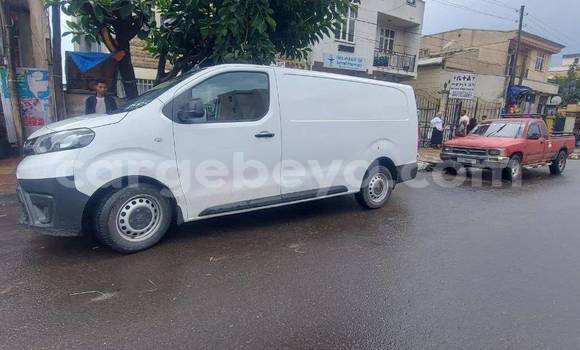 Buy Used Volkswagen California White Car in Addis–Ababa in Ethiopia Buy Used Volkswagen California White Car in Addis–Ababa in Ethiopia