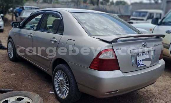 ይግዙ ያገለገለ Toyota Corolla ሌላ መኪና በ አዲስ አበባ በ ኢትዮጵያ ይግዙ ያገለገለ Toyota Corolla ሌላ መኪና በ አዲስ አበባ በ ኢትዮጵያ