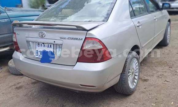 ይግዙ ያገለገለ Toyota Corolla ሌላ መኪና በ አዲስ አበባ በ ኢትዮጵያ ይግዙ ያገለገለ Toyota Corolla ሌላ መኪና በ አዲስ አበባ በ ኢትዮጵያ