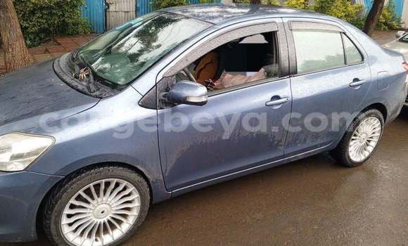 ይግዙ ያገለገለ Toyota Belta ሌላ መኪና በ አዲስ አበባ በ ኢትዮጵያ ይግዙ ያገለገለ Toyota Belta ሌላ መኪና በ አዲስ አበባ በ ኢትዮጵያ