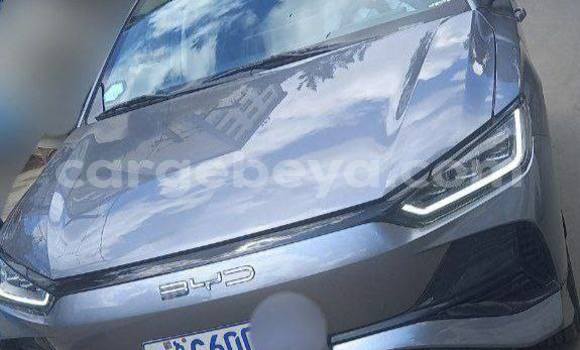 Acheter Occasion Voiture BYD E6 Autre à Addis Ababa, Ethiopie